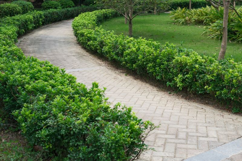 Lush outdoor paver space