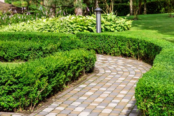 Paved Landscaping in Fort Collins
