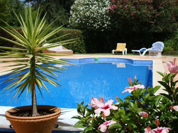 Cost of Pool Terrace Renovation in Fort Collins