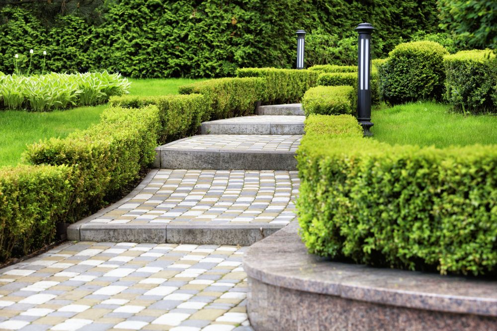 Walkway Landscaping